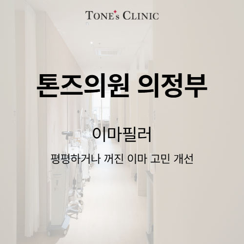 이마필러