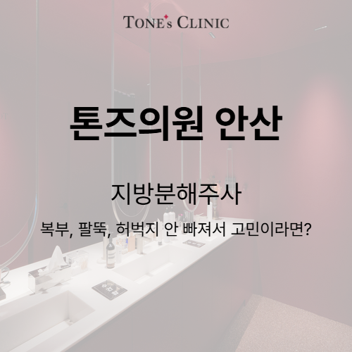 지방분해주사