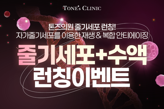 ✧줄기세포 런칭