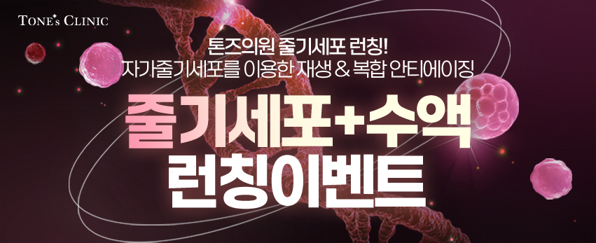 ✧줄기세포 런칭